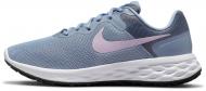 Кроссовки женские демисезонные Nike REVOLUTION 6 NN DC3729-400 р.40