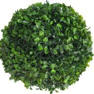 Растение Самшит Buxus шар 17/30