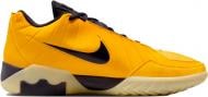 Кроссовки мужские Nike Lebron Witness IX HQ8034-700 р.44 желто-черные Кроссовки мужские Nike Lebron Witness IX HQ8034-700 р.44 желто-черные