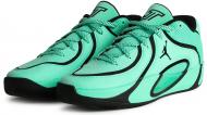Кросівки Jordan TATUM 4 HQ4614-300 р.44,5