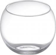 Ваза стеклянная Wrzesniak Glassworks 16х17 см 17-7605B 16 см прозрачная 17-7605B
