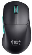 Мишка Cherry Xtrfy M64 WL/USB-A RGB black (CX-M64W-BLACK)