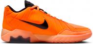 Кроссовки мужские Nike Lebron Witness Ix HQ8034-800 р.45,5 разноцветные