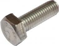 Болт метрический нержавеющая сталь DIN 933 12x25 мм вес Expert Fix