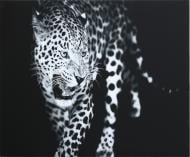 Картина Leopard стеклянная 70x100 см Styler GL-00216