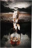 Картина на склі Lions 80x120 см Styler GL-12646