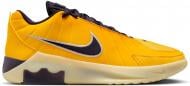 Кроссовки мужские демисезонные Nike LEBRON WITNESS IX HQ8034-700 р.40 разноцветные