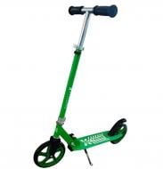 Самокат X-Treme AS-2009S зеленый