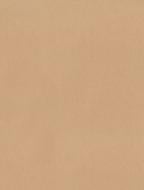 Папір для пакування STEWO Recycled paper light brown 70x200 см