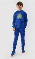 Брюки 4F TROUSERS CAS M415 4FJAW23TTROM415-36S р. 152 синий