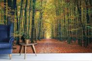 Фотообои AdaWall MONETA VOL.2 M877-5 280x525 см 14,7 кв.м