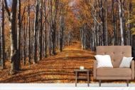 Фотообои AdaWall MONETA VOL.2 M878-3 280x315 см 8,82 кв.м