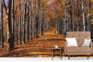 Фотообои AdaWall MONETA VOL.2 M878-5 280x525 см 14,7 кв.м