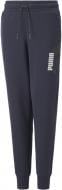 Брюки Puma ALPHA SWEATPANTS FL B 67010843 р. 128 черный