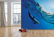 Фотообои AdaWall MONETA VOL.2 M885-3 280x315 см 8,82 кв.м
