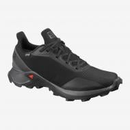 Кроссовки мужские осенние Salomon ALPHACROSS GTX L40805100 р.42 черные