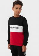 Свитшот 4F SWEATSHIRT M630 4FJAW23TSWSM630-20S разноцветный