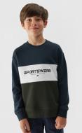 Світшот 4F SWEATSHIRT M630 4FJAW23TSWSM630-43S різнокольоровий Світшот 4F SWEATSHIRT M630 4FJAW23TSWSM630-43S різнокольоровий