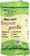 Мастырка ПрофМонтаж 100 г кукуруза 11451