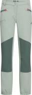 Брюки McKinley Aaron Girl 427250-681 р. 170 зеленый