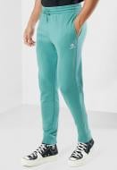 Штани Converse GO-TO EMBROIDERED STAR CHEVRON FRENCH TERRY SWEATPANT 10023873-346 р. 2XL зелений