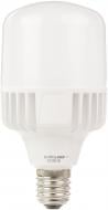 Лампа светодиодная Eurolamp HP 50 Вт T120 матовая E40 175-240 В 6500 К LED-HP-50406