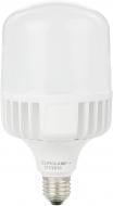 Лампа світлодіодна Eurolamp HP 30 Вт T100 матова E27 220 В 4000 К LED-HP-30274