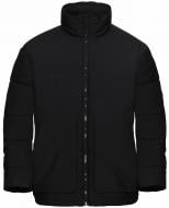 Пуховик мужская зимняя Jack Wolfskin TEEN NEW INS JKT K A65485_6000 р.M черный