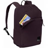 Рюкзак Jack Wolfskin Terraview