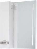 Зеркало со шкафчиком Vankor Delfi 60x80 L