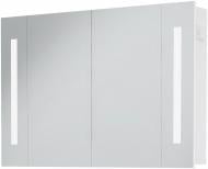 Зеркальный шкаф Vankor Delfi 100