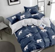 Наволочка сатин 22-1203 Juniper 50x70 см мульти MirSon