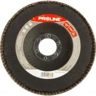 Круг шліфувальний Proline пелюстковий 125 мм P60 44812
