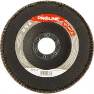 Круг шлифовальный Proline лепестковый 125 мм P80 44813
