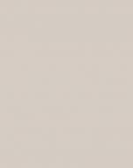 Боковина Грейд Светло серый №282 / 720х576 н/св топ модель R-1 / Неаполь