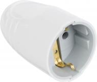 Гніздо Nilson 40130103 із заземленням 220В білий