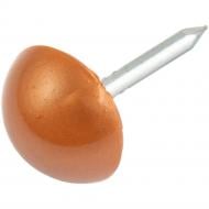 Цвяхи декоративні 10x12 мм snapt 100 шт пластик (37231)