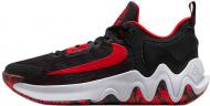 Кроссовки мужские Nike GIANNIS IMMORTALITY 2 DM0825-005 р.44 черные