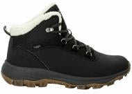 Ботинки Jack Wolfskin EVERQUEST TEXAPORE MID W 4053581_6350 р.38 серый