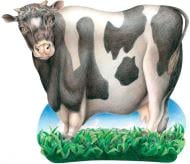 Коврик для мышки Tucano Delikatessen (MPDEL-081)