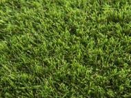 Искусственная трава Confetti TOSCANA 20 зеленый 4 м