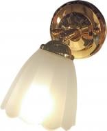 ВИТРИНА! Бра Focus Light 1xЕ27 001/1W золото