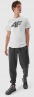 Брюки 4F TROUSERS CAS M451 4FAW23TTROM451-23M р. XL серый