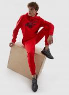 Джемпер 4F SWEATSHIRT M694 4FAW23TSWSM694-62S р.S красный