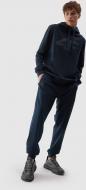Брюки 4F TROUSERS CAS M451 4FAW23TTROM451-30S р. 2XL синий Брюки 4F TROUSERS CAS M451 4FAW23TTROM451-30S р. 2XL синий