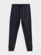 Брюки 4F TROUSERS CAS M452 4FAW23TTROM452-30S р. L синий Брюки 4F TROUSERS CAS M452 4FAW23TTROM452-30S р. L синий