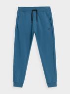 Брюки 4F TROUSERS CAS M452 4FAW23TTROM452-32S р. 2XL синий