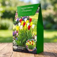Луковица Комплект тюльпанов Балеринки упаковка 15 шт. Яскрава
