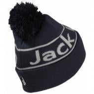 Шапка Jack Wolfskin A65240_C0413 р.M синій