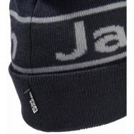 Шапка Jack Wolfskin A65240_C0413 р.L синій